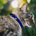 thumbnail image 2 of Buckle-Down Breakaway Cat Collar With Bell, Plastic Clip, Easy Adjustable, Galaxy Arch Blues White, 8.5 to 12 Inches 0.5 Inch Wide, 2 of 4