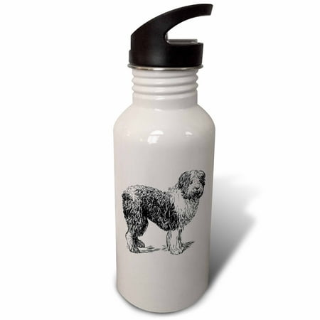 

Vintage Sketch Of A Sheep Dog 21 oz Sports Water Bottle wb-61980-1