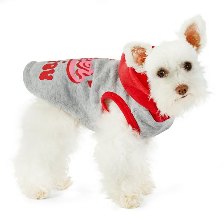 Vibrant Life Valentine's Day Sucker for You Cat and Dog Hoodie