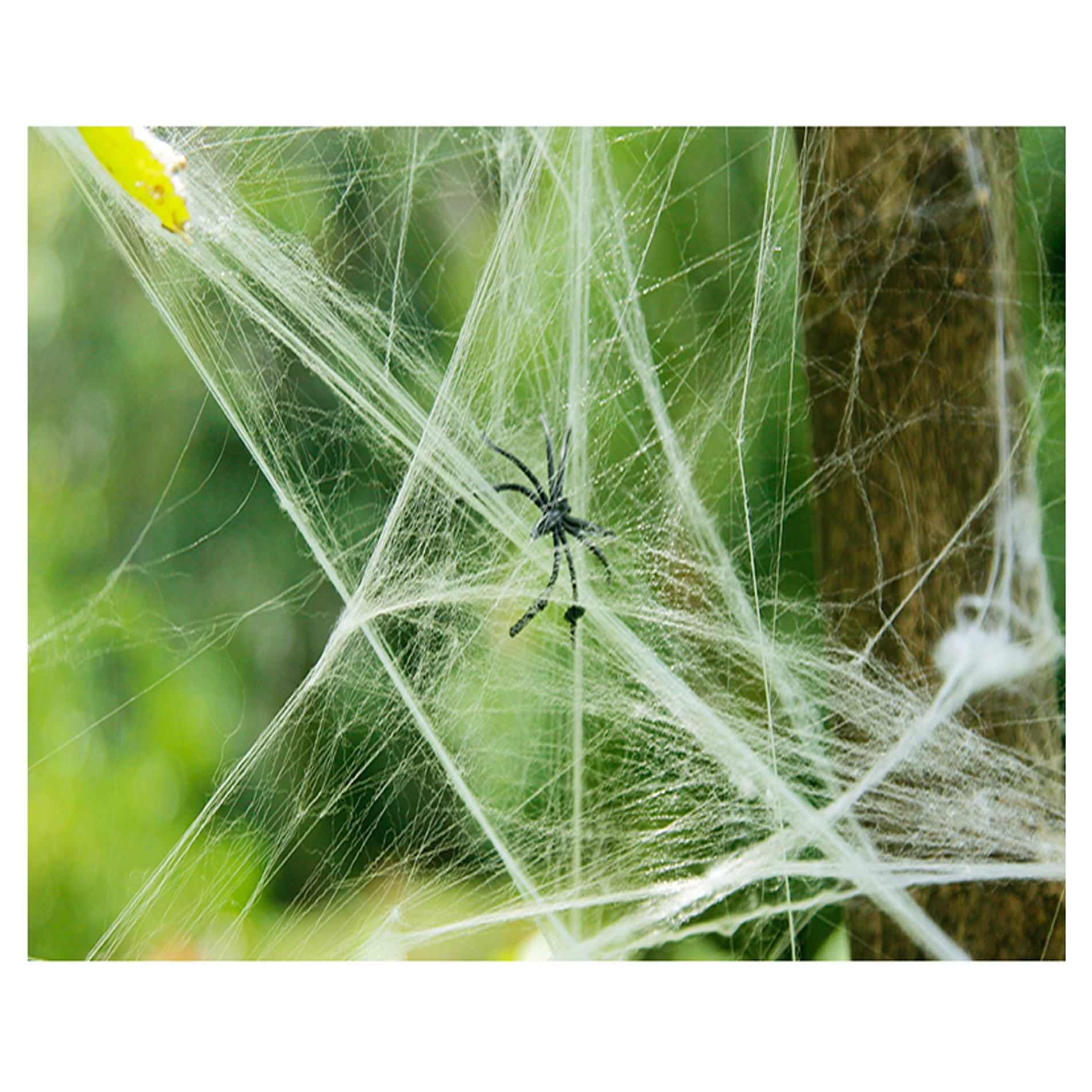 Halloween Cobweb Props Stretchy Spider  with 2 Spiders Spooky