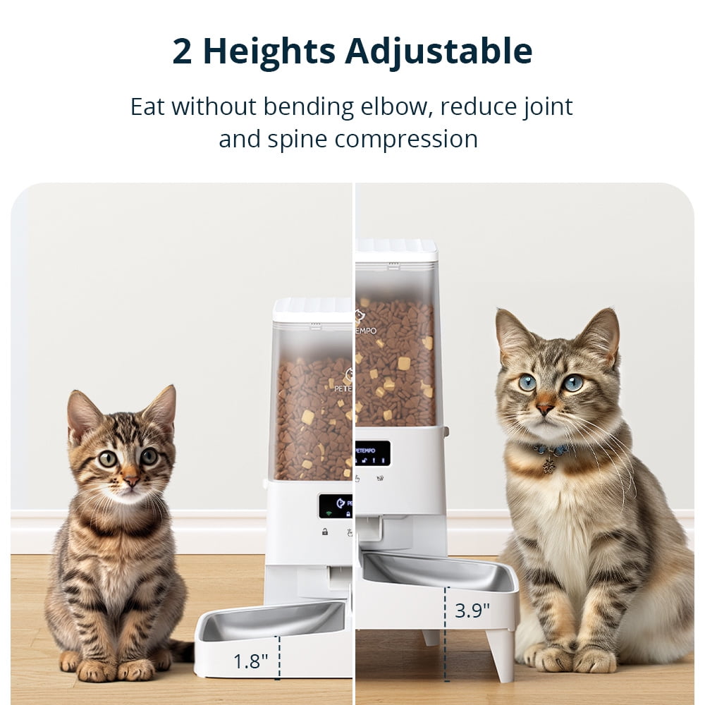 Multi cat best sale feeder