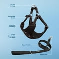 thumbnail image 3 of Best Pet Supplies Voyager Step-In Flex Adjustable Mesh Dog Harness, 3 of 9