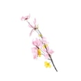 thumbnail image 2 of Honmine Artificial Dried Branch with Flowers, Faux Floral Stems for Home Office Decor, Rustic Twig for Vase Centerpiece Shelf Mantel 20 Inch, 2 of 6