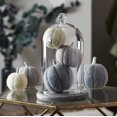 thumbnail image 2 of Set of 3 Gray White Felt Pumpkins Fall Thanksgiving Decorations - -, 2 of 4
