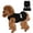 Black, variant on Dog Dress, Birthday Puppy Outfit, Doggy Easter Dresses for Small Medium Dog, Princess Pet Skirt, Pink, M