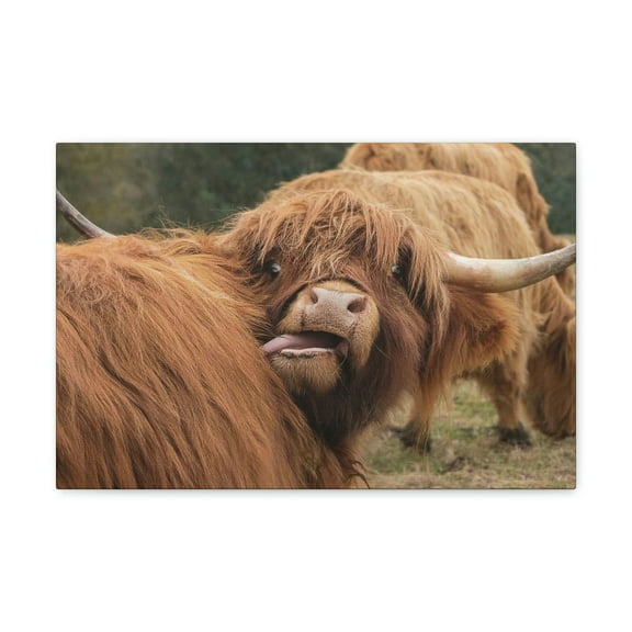 Funny Yak Silly Yak  Outside Wall Art Ready to Hang Unframed