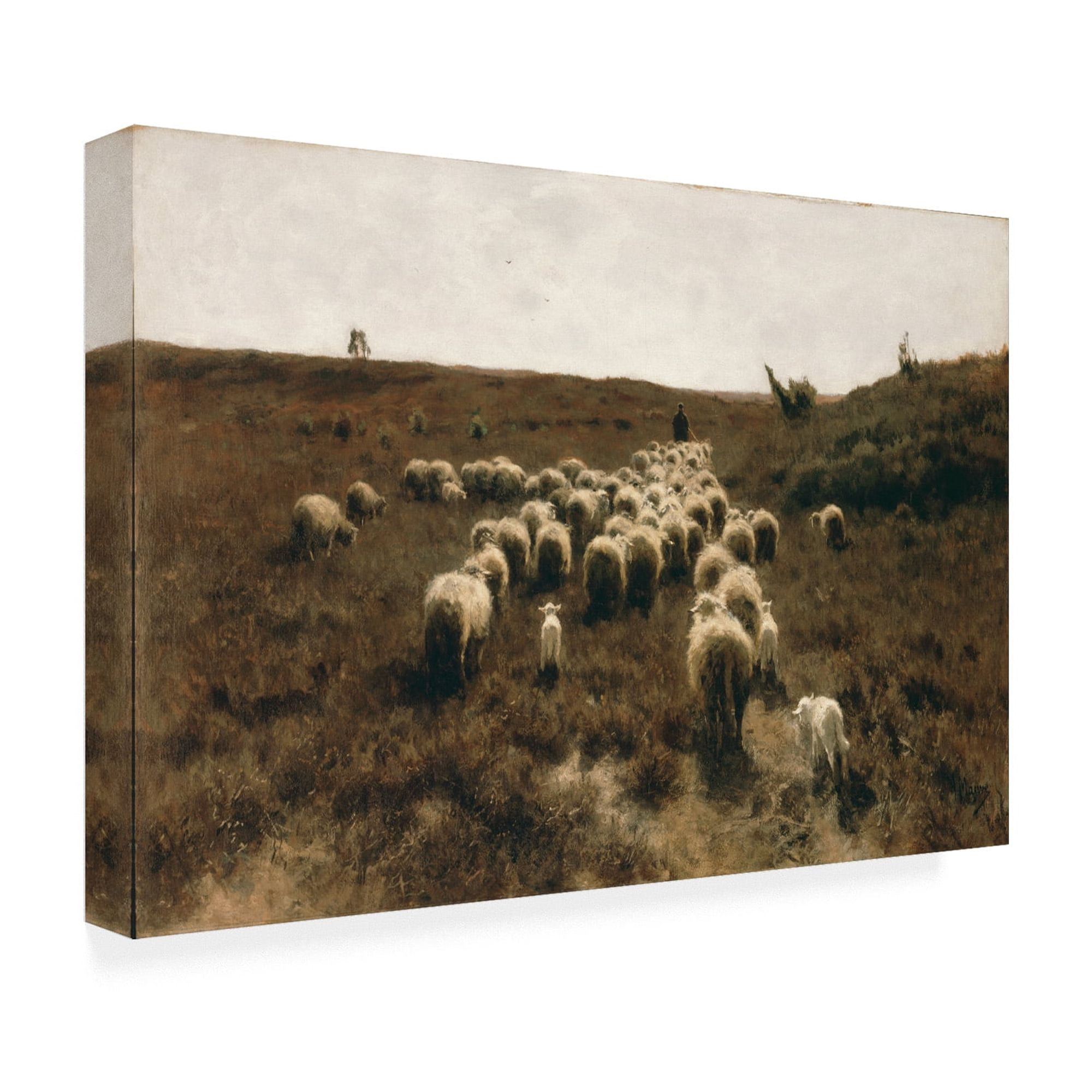 Anton Mauve 'The return of the Flock' Canvas Art