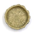 thumbnail image 3 of REGALWOVEN Dark Green Resin Bowl Feeding Plate Food Water Dish for Small Reptiles Turtles, 3 of 3