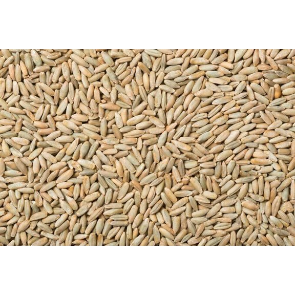 Rye Berries Bulk