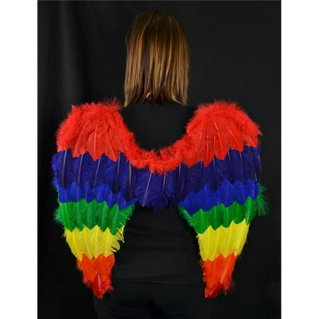 Midwest Design Imports 11000 Feather Rainbow Angel Wings