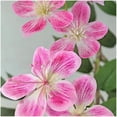 thumbnail image 2 of 5-ft artificial jasmine tree in blanca pot-realistic faux tree con flowers para indoor/outdoor home garden wedding party decor, 2 of 7