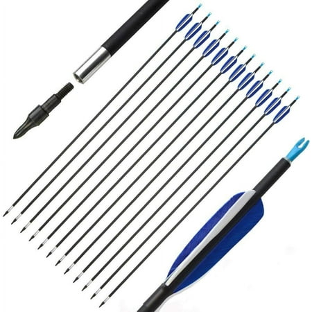 AME 12pcs 31 Archery Carbon Arrows 3 Feather SP700 Compound Recurve Bow Hunting