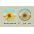 View all media