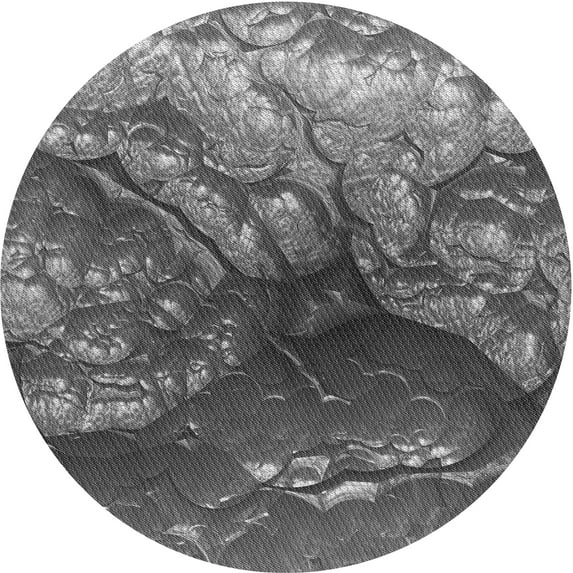 Ahgly Company Machine Washable Indoor Round Transitional Black Area Rugs, 3' Round