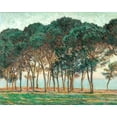thumbnail image 2 of Monet, Claude 24x20 White Modern Wood Framed Museum Art Print Titled - Umbrella Pines-Antibes 1888, 2 of 4