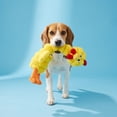thumbnail image 2 of Vibrant Life Yellow Long Neck Chicken Plush Dog Toy with Squeaker, Chew Level 3, 2 of 9
