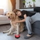 thumbnail image 1 of Botón de entrenamiento para perros que ladran | Juguete de comunicación con grabación de voz para mascotas | Botón interactivo para perros | Herramienta de entrenamiento conductual para aliviar la an, 1 of 5