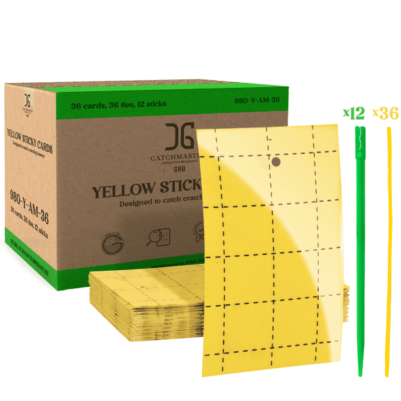 Catchmaster GRO Yellow Regular Double Sided Sticky Fly Traps 36PK, Adhesive Bug Trap 3"x5"