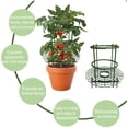 thumbnail image 4 of Jaula De Soporte De Plantas Para Verduras Y Frutas Con Estacas De Plástico, Estacas De Jardín Para Soporte De Plantas Y Fijas, Diseño De Medio Soporte, Desmontable, Natural, 4 of 5