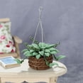thumbnail image 1 of 1/12 resina casa de plantas colgante de arcilla flor plantas juguetes para cocina jardín accesorios de decoración en Hugo cesta colgante de casa de muñecas, 1 of 8