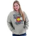 thumbnail image 3 of Colorado Mountains Home State Pride Unisex Plus Fleece Graphic Hoodie Brisco Brands 2X, 3 of 5