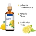 thumbnail image 3 of Lansiyi Massage Oil Facial Care Moisturizing And Moisturizing Oil 100ml Aromatherapy Diffuser, 3 of 8