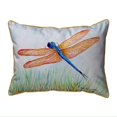 thumbnail image 1 of 11 x 14 Po Ambre et Bleu Libellule Petit Oreiller Intérieur et Extérieur, 1 of 1