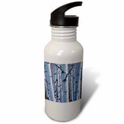 USA, Colorado. Aspens in Gunnison National Forest. 21 oz Sports Water Bottle wb-189919-1