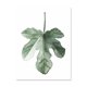 thumbnail image 1 of Póster Artístico impreso con hojas de plantas tropicales de zona de arte, cuadros de pared de plantas verdes nórdicas, pintura grande para habitación de niños sin marco MFZFUKR 1237-10, 1 of 1