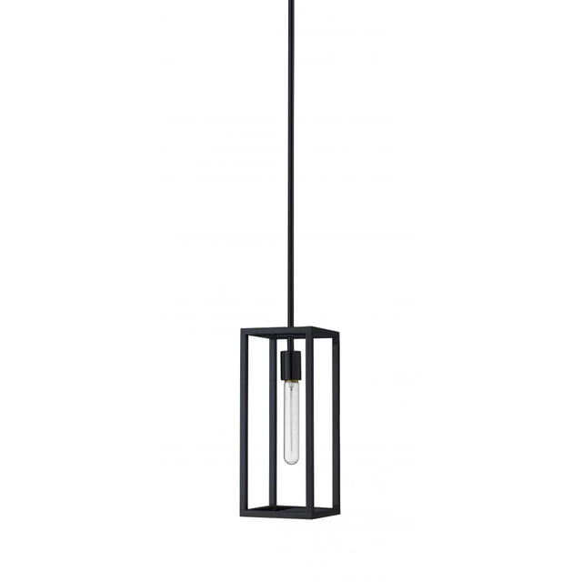 Whitfield Lighting PT5800-1BK 1 LIGHT PENDANT STEEL FRAME NO GLASS