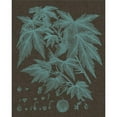 thumbnail image 3 of Vision Studio 12x14 Black Modern Framed Museum Art Print Titled - Shimmering Leaves VII, 3 of 5