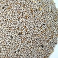thumbnail image 2 of Organic White Chia Seeds- 35 Lbs- Sprouting Seeds For Growing Sprouts, Chia Pet Refills, Food Storage, Sprout Salad, 2 of 4