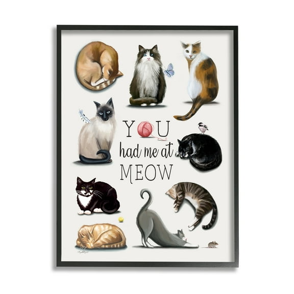 Stupell You Had Me At Meow Cat Pet Animals & Insects Painting Black Framed Art Print Wall Art