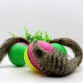 thumbnail image 1 of Jouet de Castor pour Enfants, Balle d'Activation de la Belette, 1 of 4