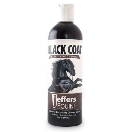 Jeffers Equine Black Coat Shampoo for Horses, 16 oz – Enhances Black & Bay Coats, Soap & Detergent Free, Coconut Oil Formula with Aloe & Vitamin E – Deep Cleansing Horse Grooming & Show Prep