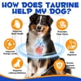 thumbnail image 3 of Oimmal Taurine Powder for Dogs, 7.05 oz (200 g), Essential Amino Acid Supplement, Supports Normal Heart & Vision Function, Maintains Daily Vitality, 99.9% Pure Taurine Powder, 3 of 10