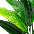thumbnail image 6 of Northlight 4.25' Unlit Green Artificial Traveller's Tree with Black Pot, 6 of 7