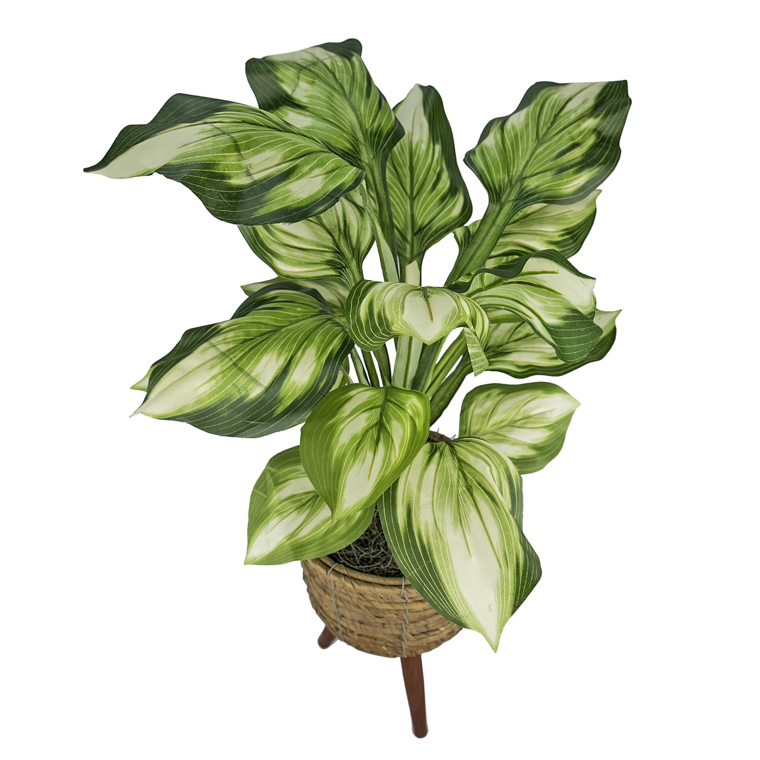 LCG Florals Artificial Plant, Faux Designer Hosta Plant, 28in, Modern Brown Basket Stand, Artificial Indoor Plant for Living Room, Office, & Home Décor