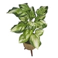 thumbnail image 6 of LCG Florals Artificial Plant, Faux Designer Hosta Plant, 28in, Modern Brown Basket Stand, Artificial Indoor Plant for Living Room, Office, & Home Décor, 6 of 8