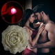 thumbnail image 5 of Velas Románticas de Cera de Soja para Juegos, Velas de Goteo a Baja Temperatura, Efecto de Ambiente Oscuro, Vela de Masaje para Parejas, Ingredientes Seguros para El Cuerpo, Punto de Fusión de 40 °C,, 5 of 5