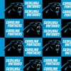 NFL Carolina Panthers 58" 100% Polyester Fleece Sports Logo Fabric By the Yard, Teal and Black