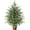 2FT, variant on Lyacmy 2ft Tabletop Christmas Tree Potted Faux Norfolk Pine for Indoor, Artificial Topiary Cedar Trees for Outdoor, Fake Cypress Trees Plants