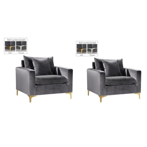 Home Square 2 Piece Upholstered Velvet Accent Chair Set in Gray