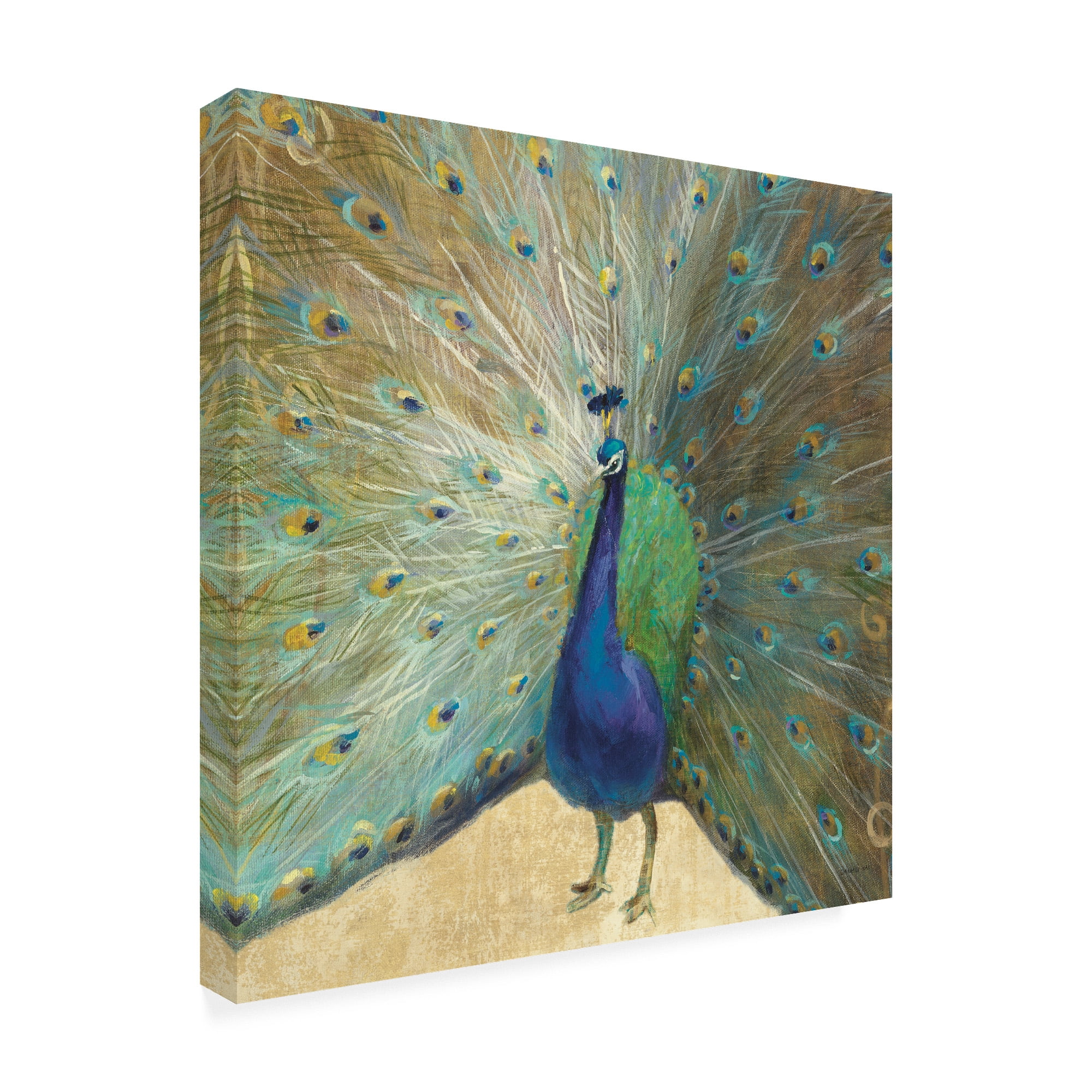 Trademark Fine Art 'Blue Peacock Cream' Canvas Art by Danhui Nai