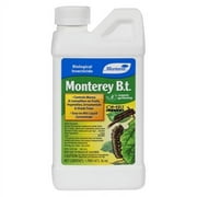 Monterey B.t. Pint (Multipack of 2)