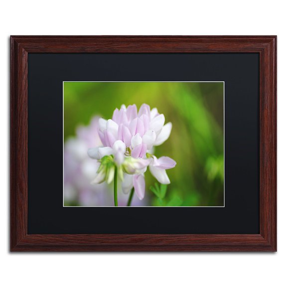 Trademark Fine Art "Calm Heart" Canvas Art by Monica Mize, Black Matte, Wood Frame