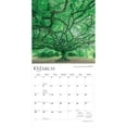thumbnail image 3 of The Majesty of Trees | 2027 12x24" (Hanging) Wall Calendar | Plastic-Free, 3 of 9