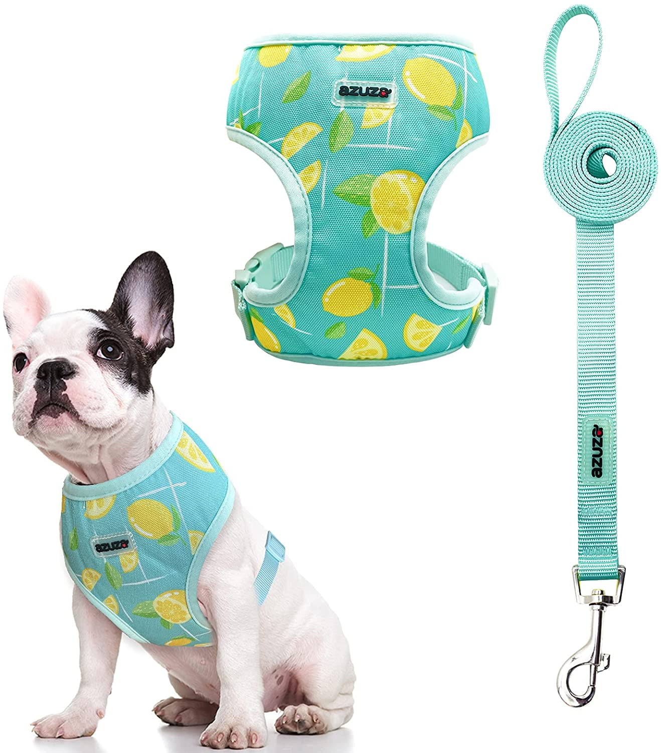 pineapple dog harness