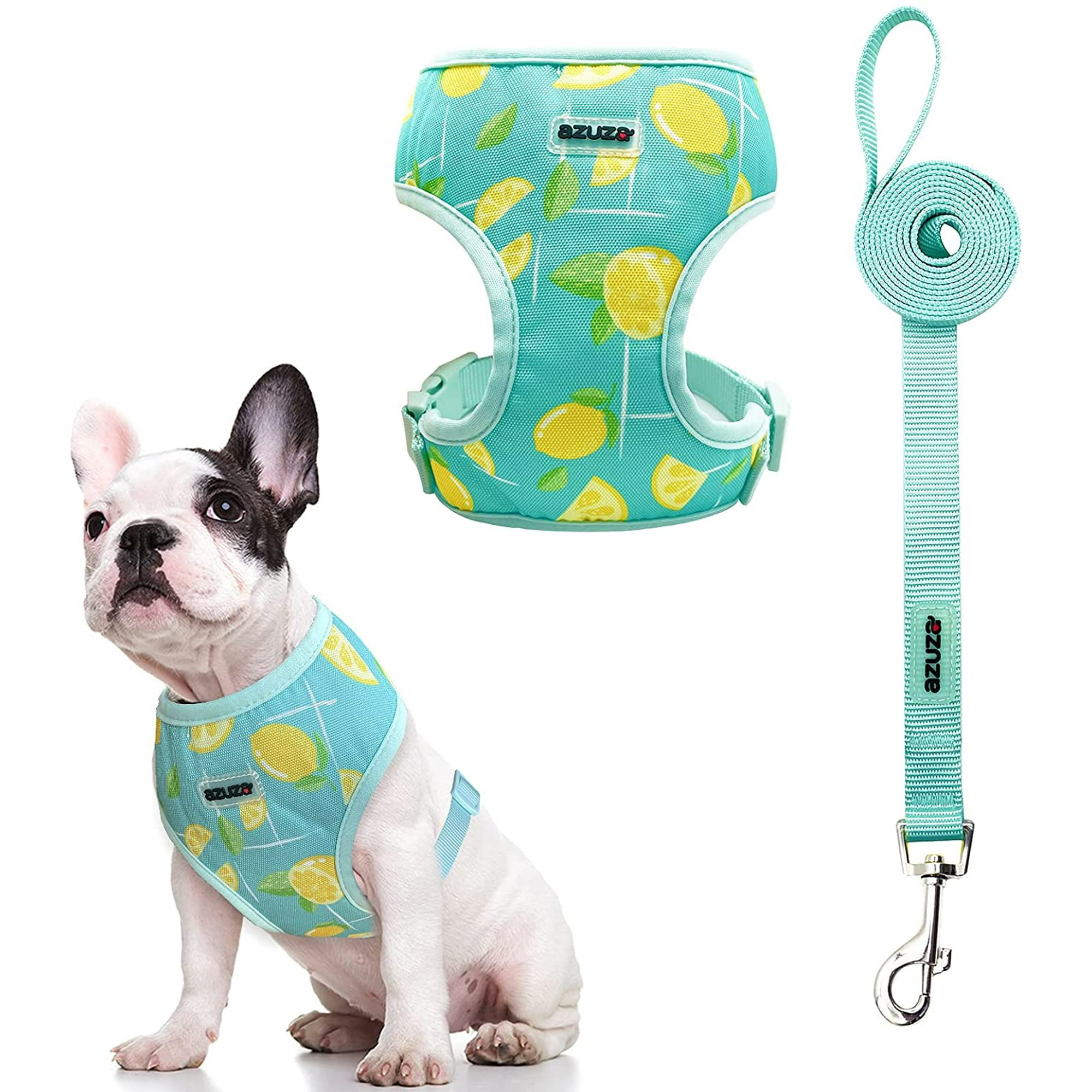 Chihuahua Harness Petsmart atelieryuwa.ciao.jp