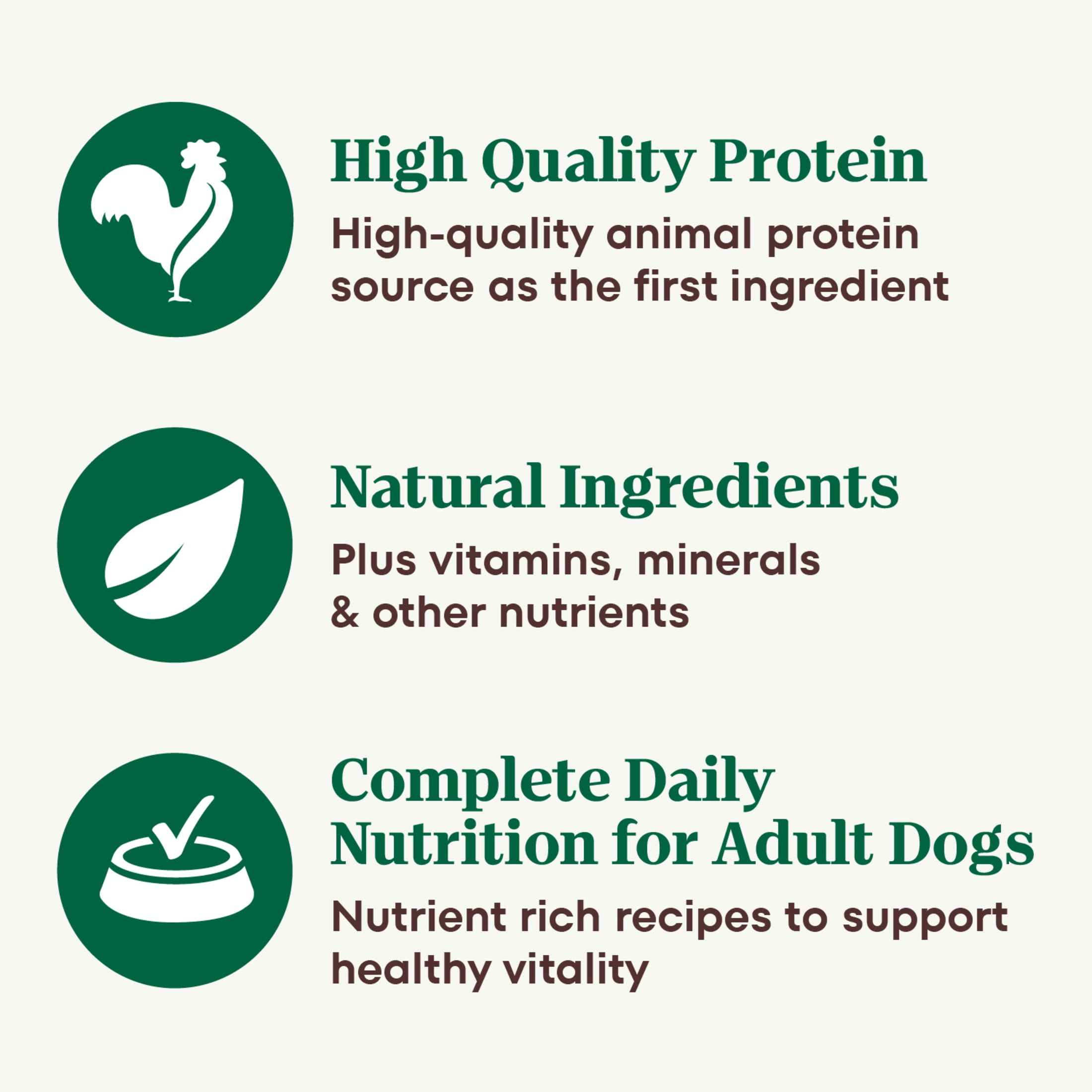 Nutro Natural Choice Premium Loaf Chicken Recipe Adult Wet Dog Food 12.5 oz Can Pack of 12
